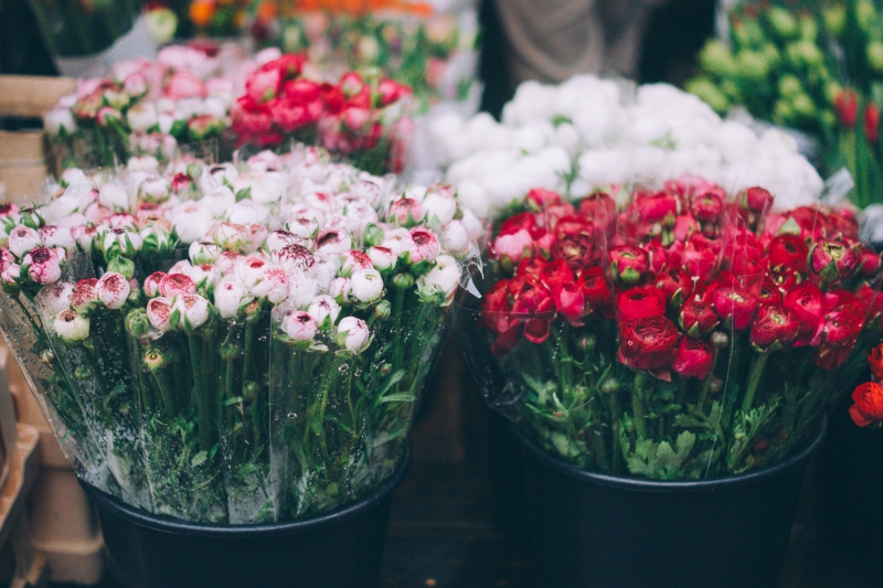 fleuriste-ANTIBES-min_farmers-market-1209712